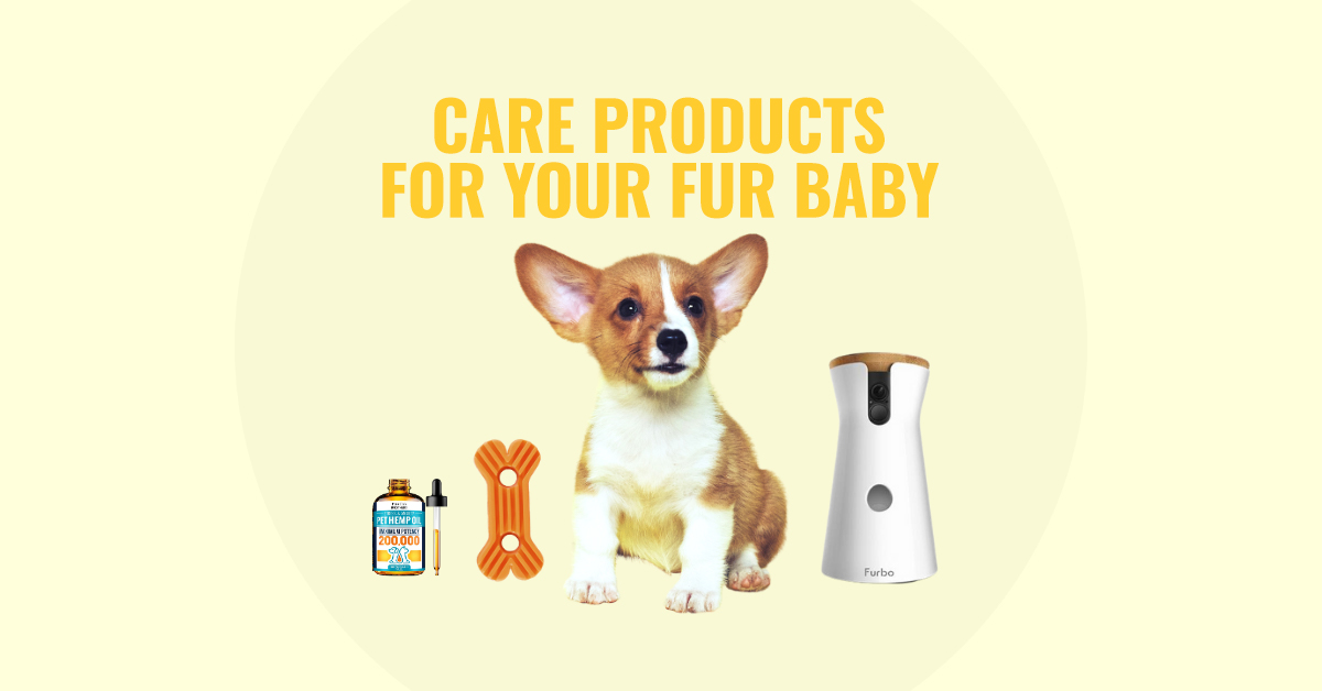 Our editors' favorite pet products their fur babies loved