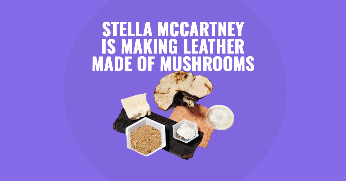 Stella McCartney and Hermès introduce mushroom leather into